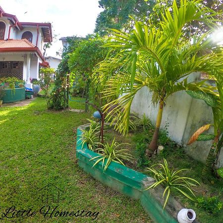 Little Homestay Dambulla Buitenkant foto