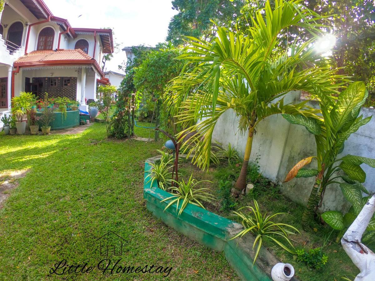 Little Homestay Dambulla Buitenkant foto