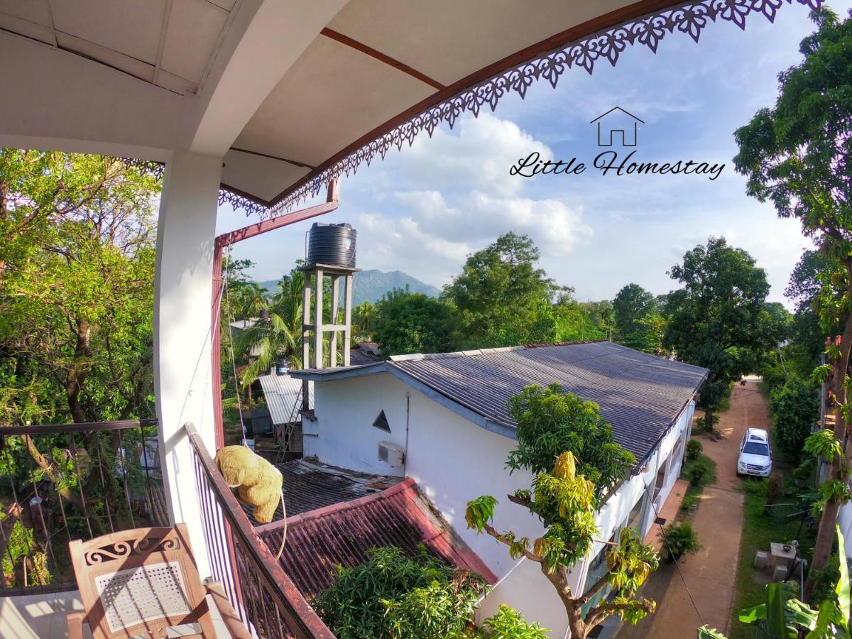 Little Homestay Dambulla Buitenkant foto